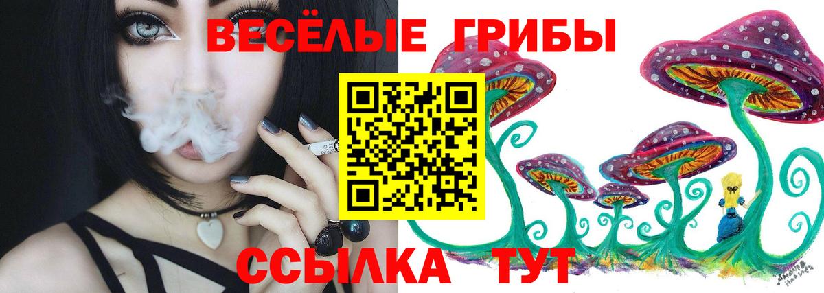 Галлюциногенные грибы Psilocybe Щёкино