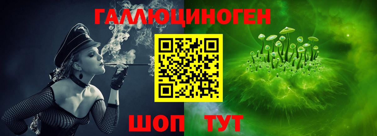 Щёкино  Галлюциногенные грибы Psilocybe  Галлюциногенные грибы прущие грибы  Вход с VPN 